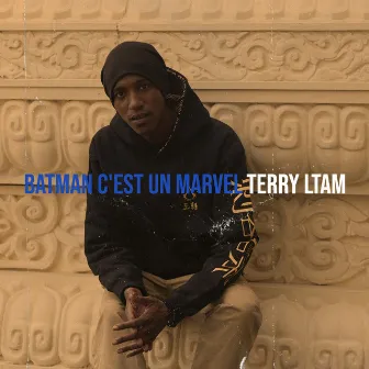 Batman c'est un Marvel by Terry LTAM