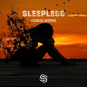 Sleepless by Chris Niers