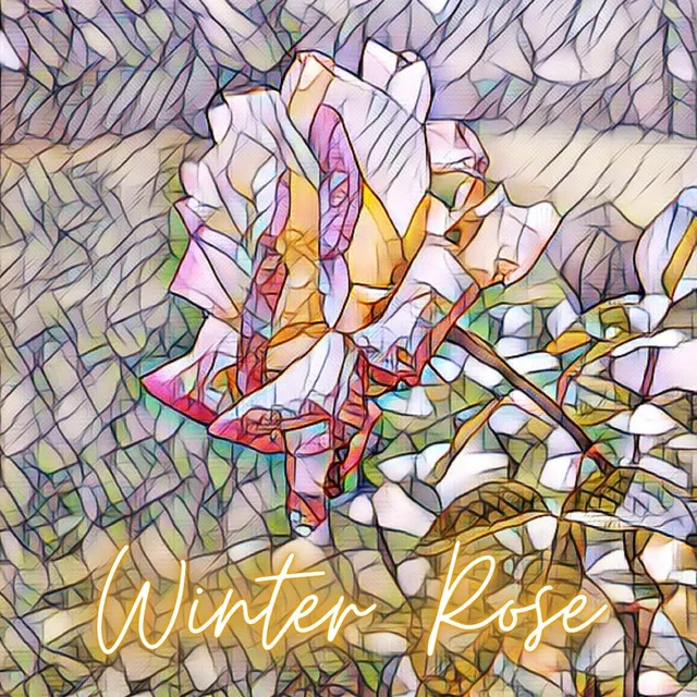 Winter Rose