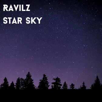 Star Sky (AONE Remix) by RavilZ