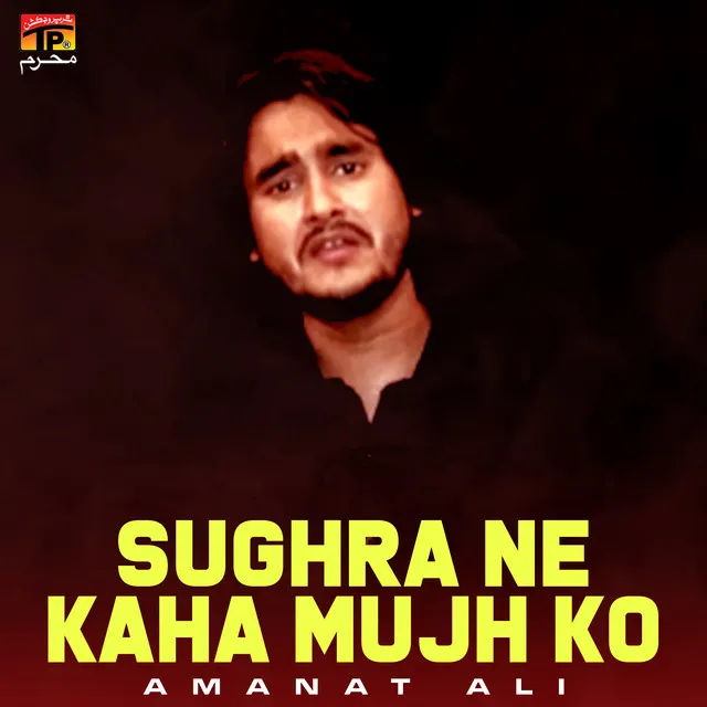 Sughra Ne Kaha Mujh Ko - Single