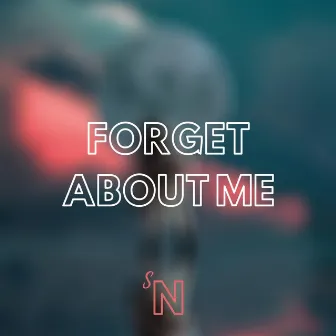 Forget About Me by Sincerely Nikola