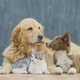 Pets Love Rain: Calmful and Easeful Relief Noise by Epic Nature