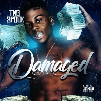 Damaged by Tmg Spook