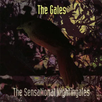 The Gales by The Sensational Nightingales