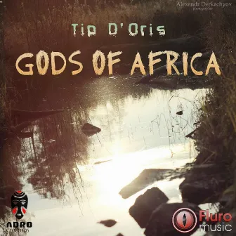 Gods Of Africa by Tip D'oris