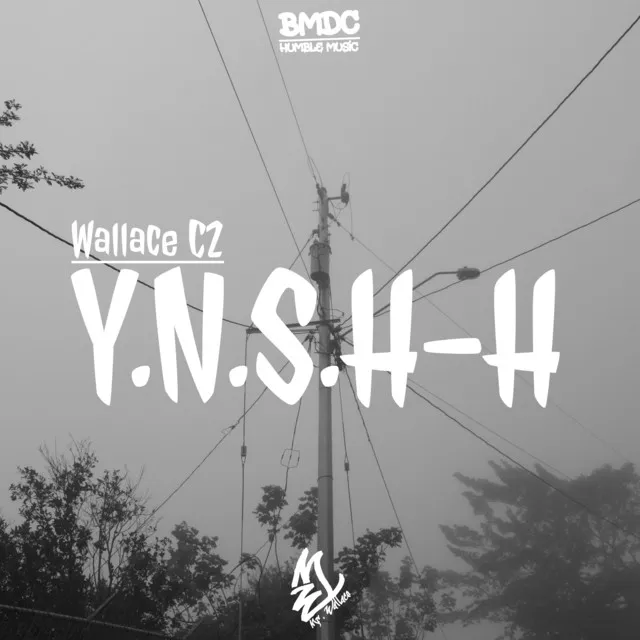 Y.N.S.H-H