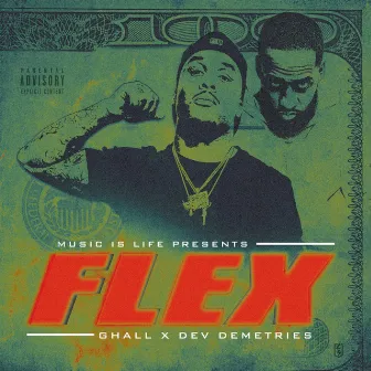 FLEX by G.Hall