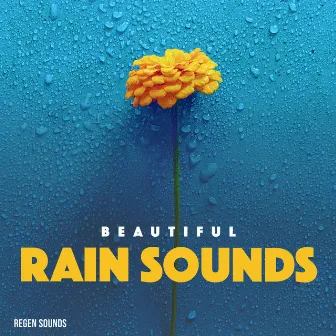 Beautiful Rain Sounds by Regen Sounds