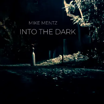 Into The Dark by Mike Mentz