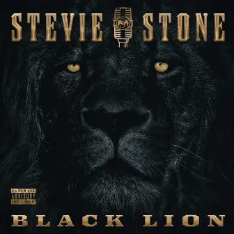 Black Lion by Stevie Stone