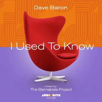 I Used to Know by Dave Baron