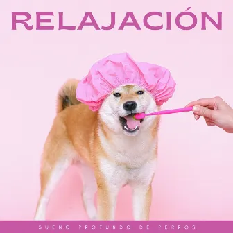 Relajación: Sueño Profundo De Perros by Música para tu perro