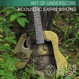 Acoustic Expressions by David Turtle Ramani