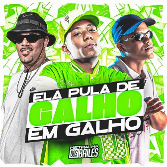 Ela Pula de Galho em Galho by DJ LP Malvadão