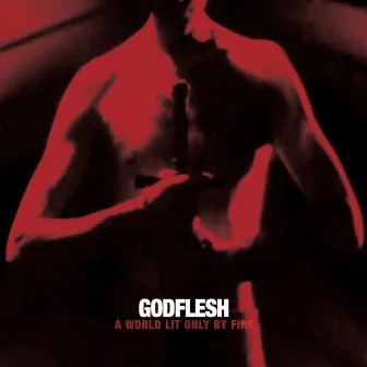 A World Lit Only by Fire by Godflesh