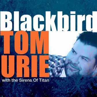 Blackbird by Tom Urie