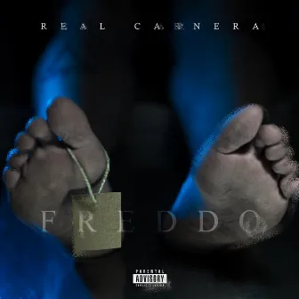 Freddo by Real Carnera