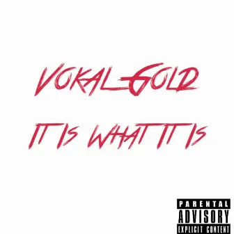 It Is What It Is by Vokal Gold