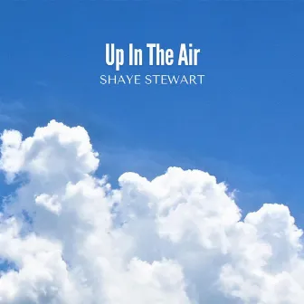 Up In The Air by Shaye Stewart