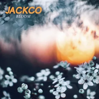 Bloom by Jackco