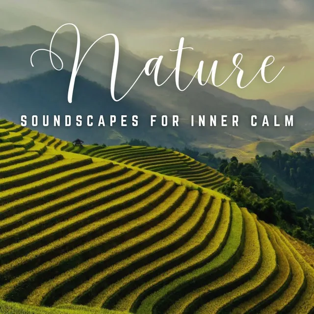 Harmony in Relaxation: Soundtracks for Inner Calm