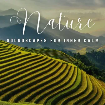 Harmony in Relaxation: Soundtracks for Inner Calm by The Healing Power Of Granular Sound