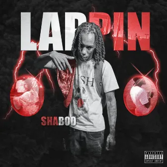 LAPPIN by Shaboo