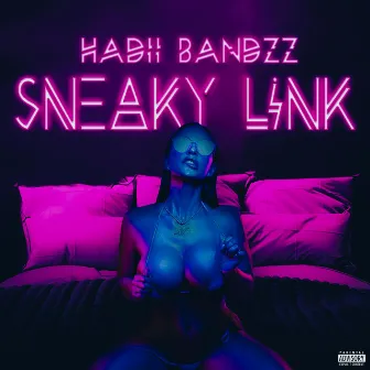 Sneaky Link by Hadii Bandzz