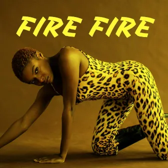 Fire Fire by DJ Alfire