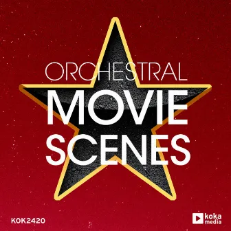 Orchestral Movie Scenes by Nicolas Techer