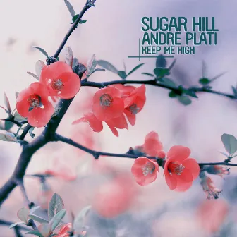 Keep Me High by Sugar Hill