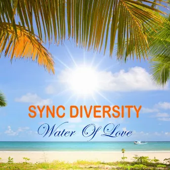 Water of Love by Sync Diversity