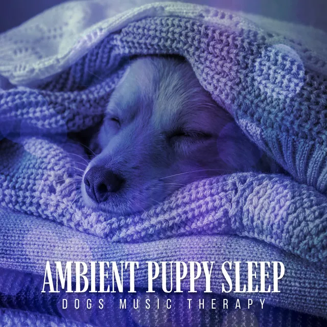 Ambient Puppy Sleep