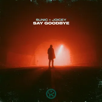 Say Goodbye by Sunic