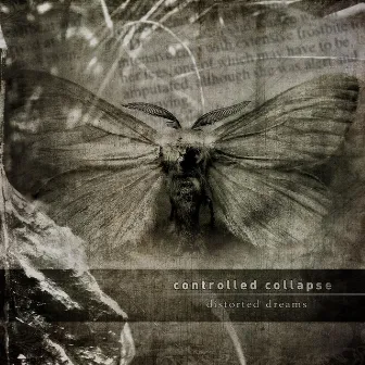 Distorted Dreams by Controlled Collapse