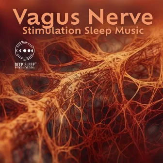 Vagus Nerve Stimulation Sleep Music: Deep Sleep Transformational Therapy, Self-Healing, and Relax by Deep Sleep Hypnosis Masters