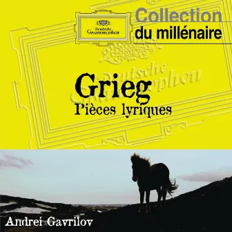 Grieg: Pièces lyriques by Andrei Gavrilov