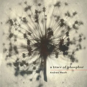 A Trace of Phosphor by Andrew Heath