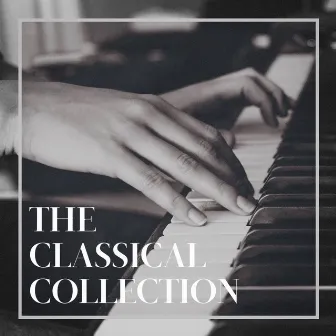 The Classical Collection by Unknown Artist