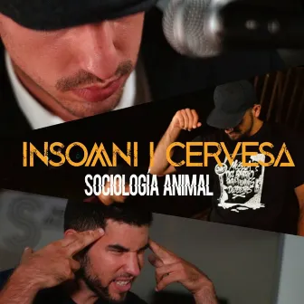 Insomni i Cervesa by Sociología Animal