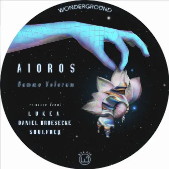 Gamma Velorum by Aioros