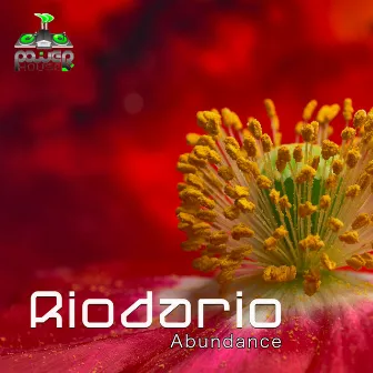 Abundance by Riodario