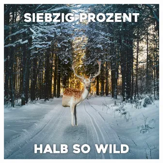 Halb so wild by Siebzig Prozent