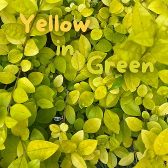 Yellow in Green by TTechmak