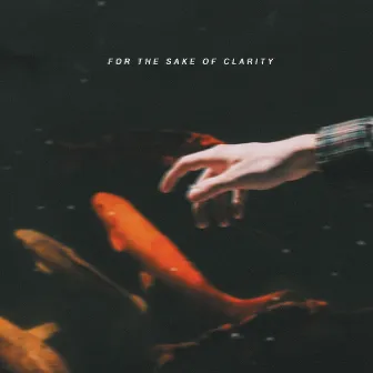 For the Sake of Clarity by Baseline