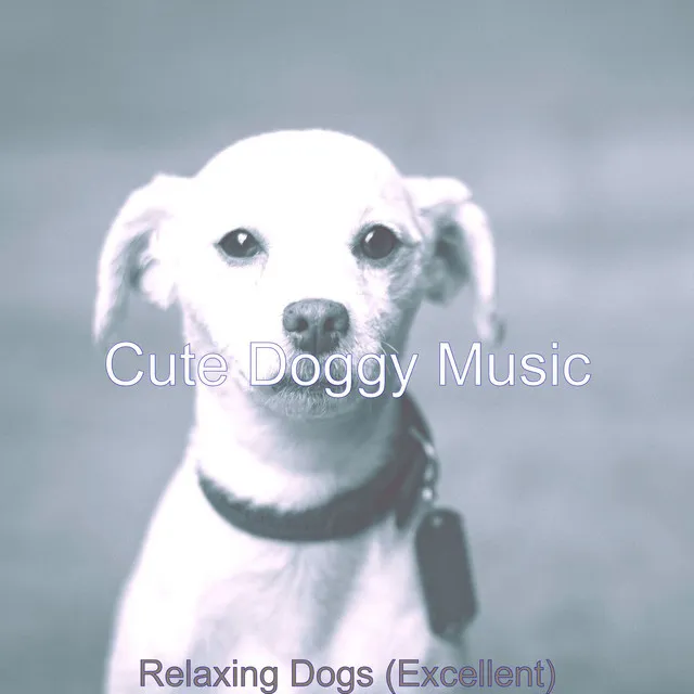 Cute Doggy Music