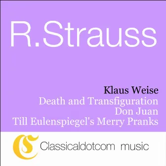 Richard Strauss, Death And Transfiguration, Op. 24 by Klaus Weise