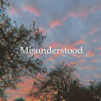 Misunderstood by Ash Haze