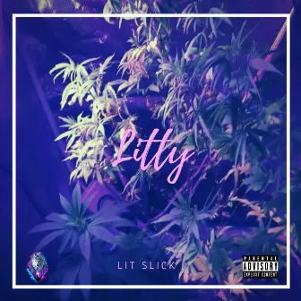 ShLitty by Lit Slick